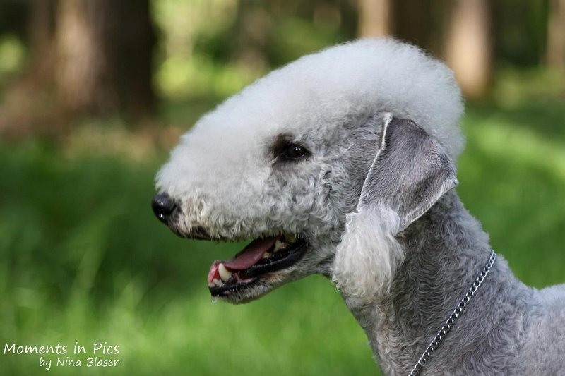 2010-05-29 Alanna und Svet (30).jpg - Airis Blue Volshebny Svet - 2010-05-29